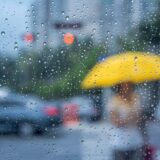 食中毒は6月が最多｜梅雨に急増する原因・症状・予防対策を徹底解説