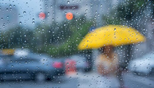 食中毒は6月が最多｜梅雨に急増する原因・症状・予防対策を徹底解説