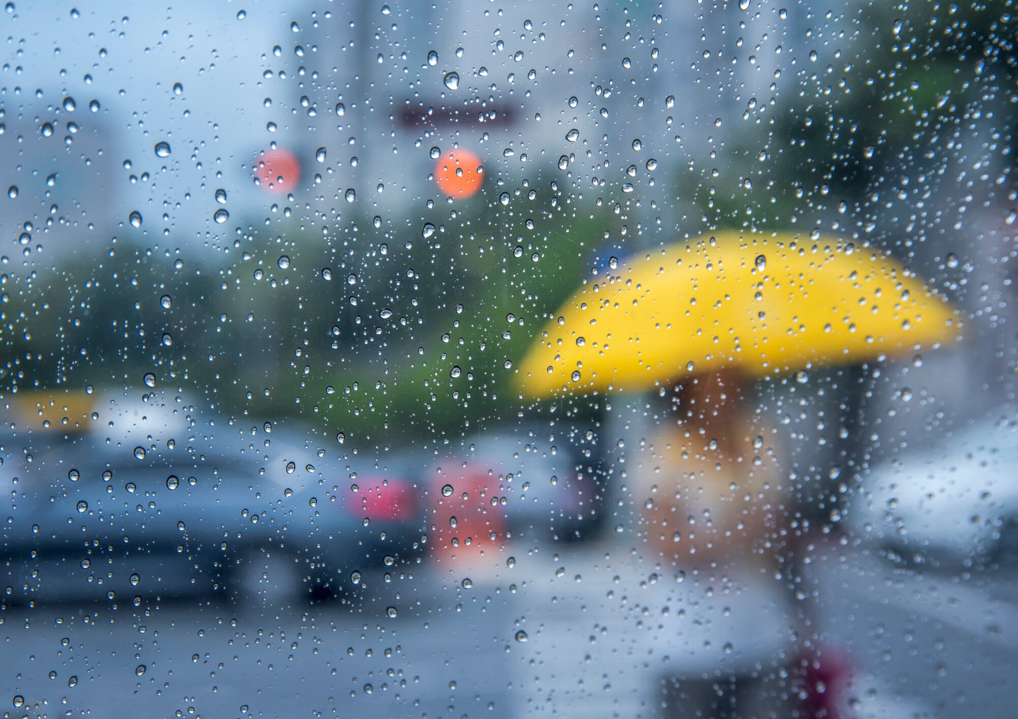 食中毒は6月が最多｜梅雨に急増する原因・症状・予防対策を徹底解説